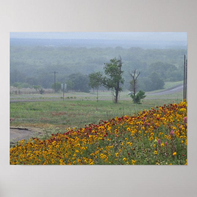 Springtime in Texas Poster (Front)