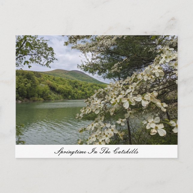 Springtime In The Catskills Postcard (Front)