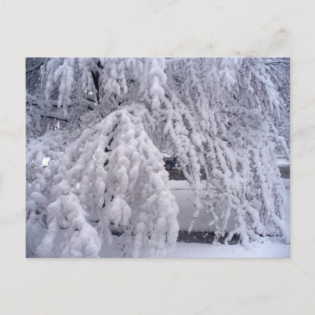 Springtime in Wisconsin Postcard (Front)