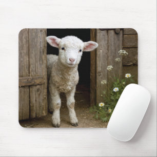 Springtime Lamb In Barn Door Mouse Mat