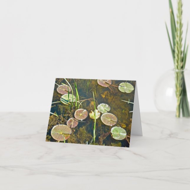 Springtime Lily Pads Note Card (Front)