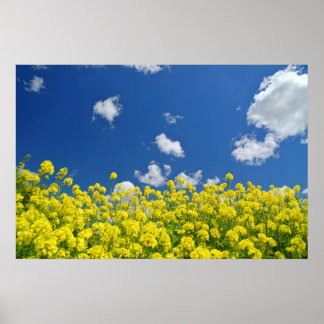 Springtime Meadow Poster
