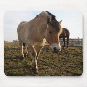 Springtime Mouse Mat