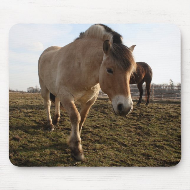 Springtime Mouse Mat (Front)