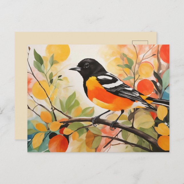 Springtime Nature's Charm Bird Baltimore Oriole Postcard (Front/Back)