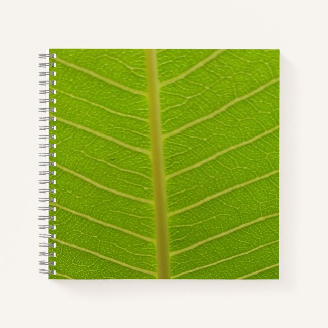 Springtime  notebook (Front)