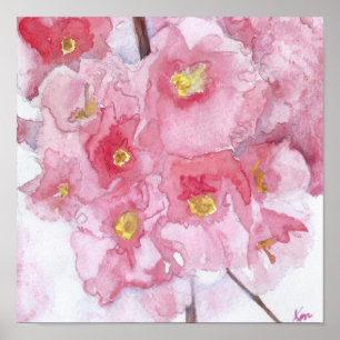 Springtime Pink Cherry Blossoms Watercolor Poster