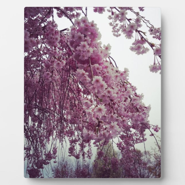 Springtime Plaque (Front)