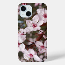 Springtime Sakura
