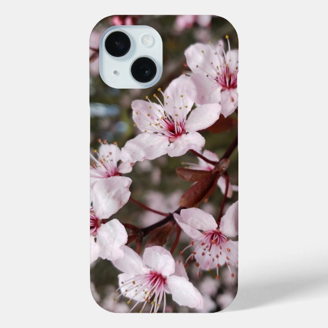 Springtime Sakura Case-Mate iPhone Case (Back)