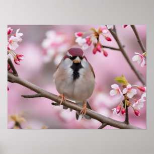 Springtime Serenity: Cute Sparrow  Poster