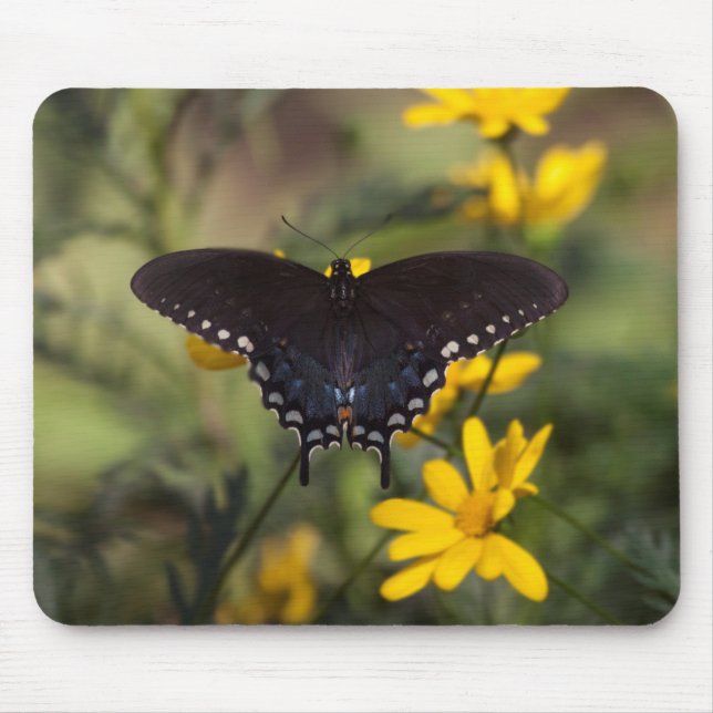 Springtime Swallowtail Butterfly Mouse Mat (Front)