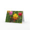 SPRINGTIME  TULIP'S BIRTHDAY Card