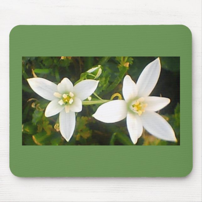 Springtime White Flowering Blooms Mouse Mat (Front)