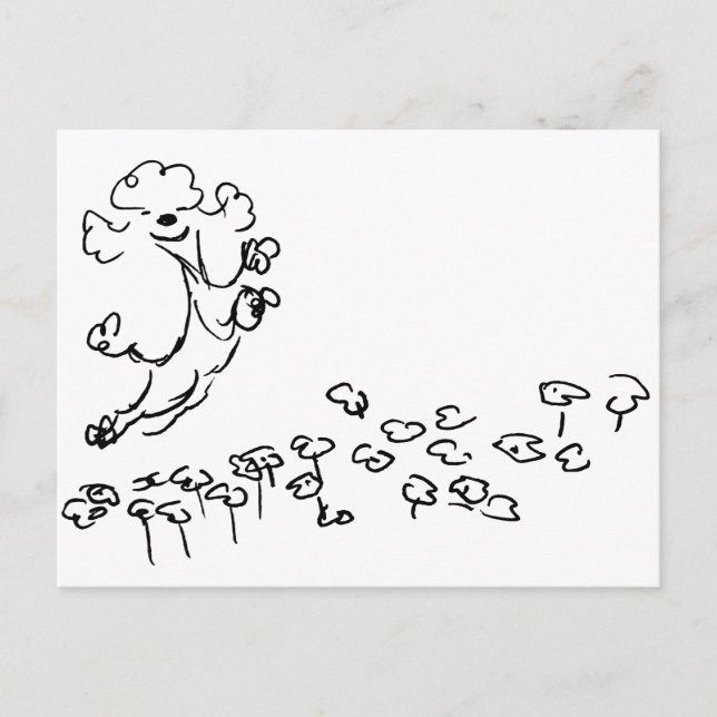 Springy Poodle Postcard (Front)