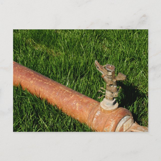 Sprinkler Postcard (Front)