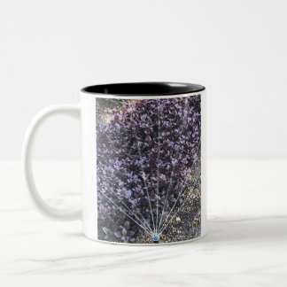 Sprinklers Mug