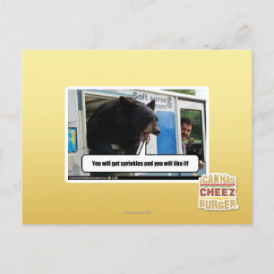 Sprinkles Postcard