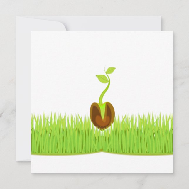 Sprout! Announcement (Front)