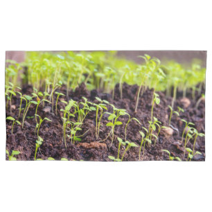 Sprouting grass pillowcase