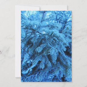 Spruce branches covered with frost crystals  holiday card