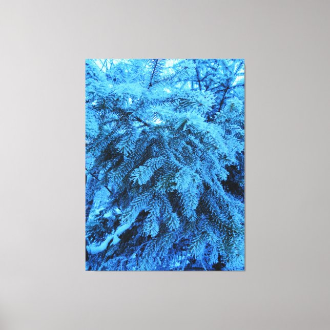 Spruce branches covered with snow & frost crystals canvas print (Front)