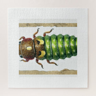 Spruce Budworm 080824IREF230 - Watercolor Jigsaw Puzzle