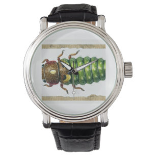 Spruce Budworm 080824IREF230 - Watercolor Watch