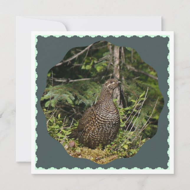 Spruce Grouse (Front)
