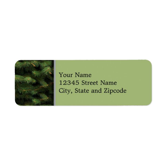 Spruce Tree with Green Background (Front)