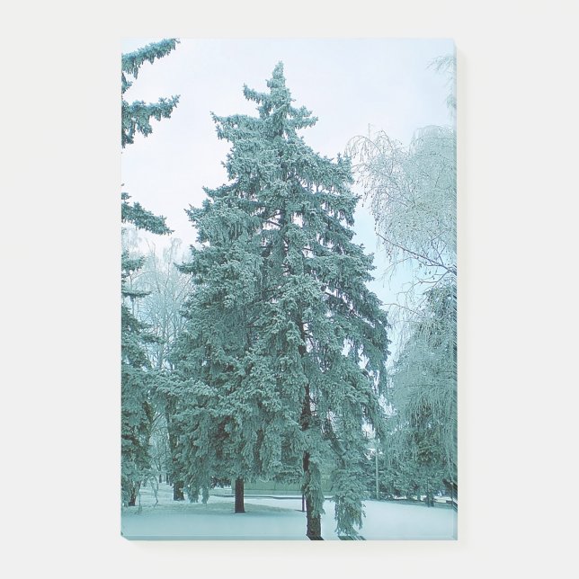 Spruce tree with ice post-it notes (Front)