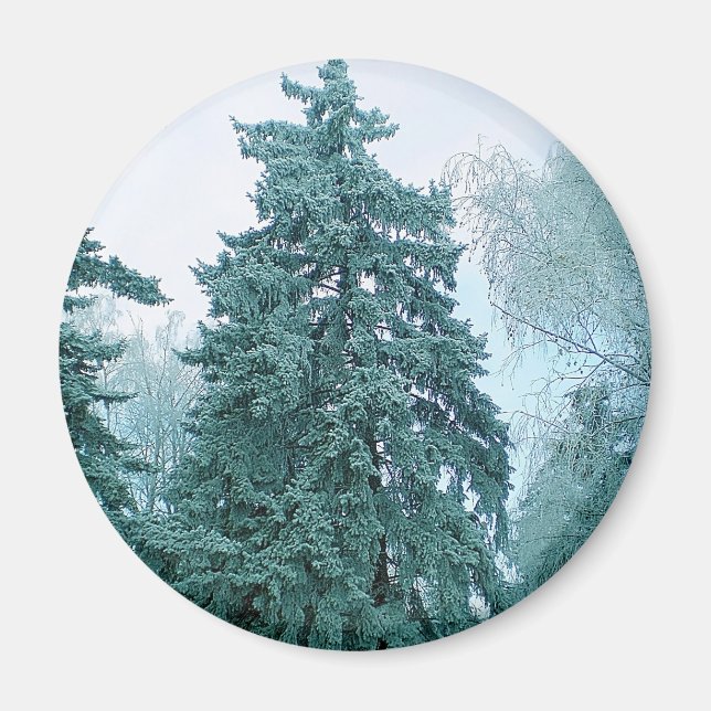 Spruce tree with snow magnet (Front)