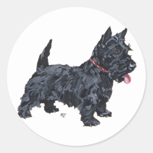 Spunky Scottie Dog Classic Round Sticker