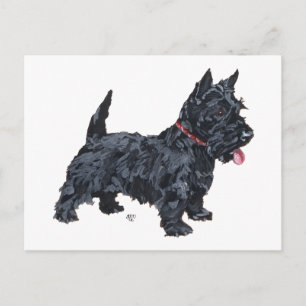 Spunky Scottie Dog Postcard