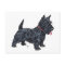 Spunky Scottie Dog