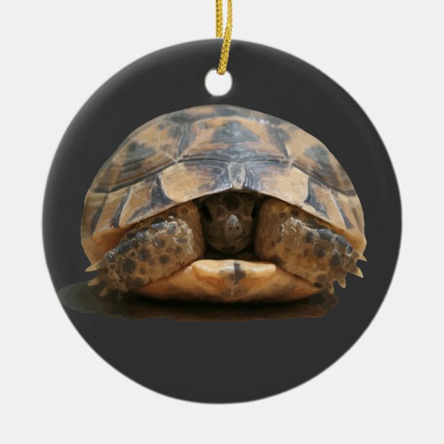 Spur-Thighed Tortoise Retracting Ceramic Tree Decoration (Front)