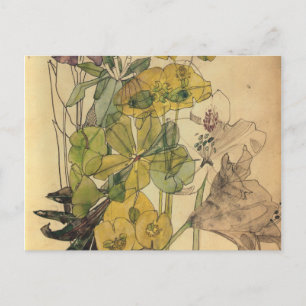 Spurge With Yham Flowers Charles Rennie Mackintosh Postcard