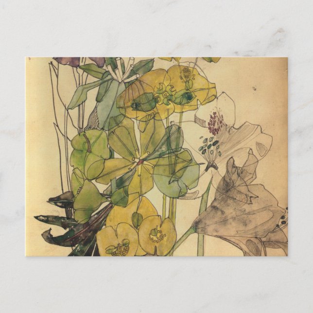 Spurge With Yham Flowers Charles Rennie Mackintosh Postcard (Front)