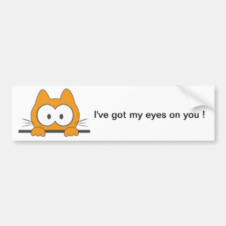 Spy cat bumper sticker
