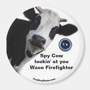 Spy Cow lookin' at you Waco Firefighter fun magnet