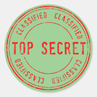 Spy Surprise Birthday Party Top Secret Classified