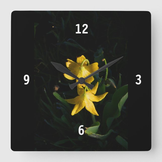 Square Acrylic Glacier Lily Clock (Front)