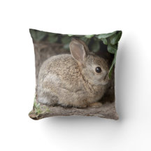 Square Bunny Pillow