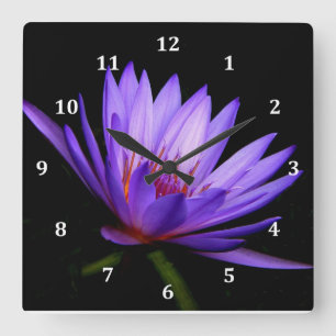 Square Clock, Dark Side of the Purple Water Lily Square Wall Clock