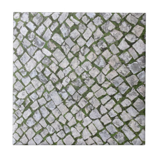 Square Cobblestone Rock Pattern with Green Moss Tile