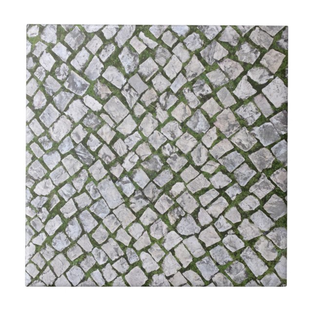 Square Cobblestone Rock Pattern with Green Moss Tile (Front)