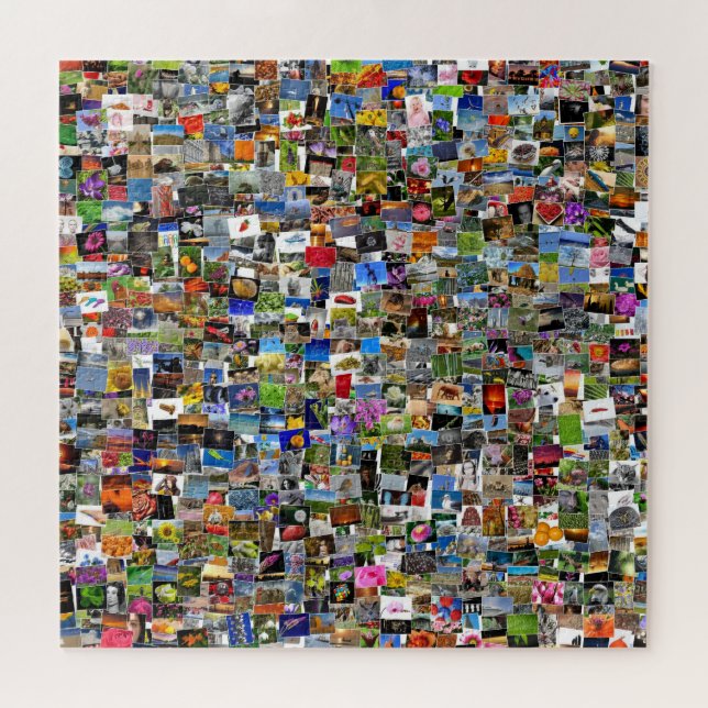 Square collage of photos and pictures design, jigsaw puzzle (Horizontal)