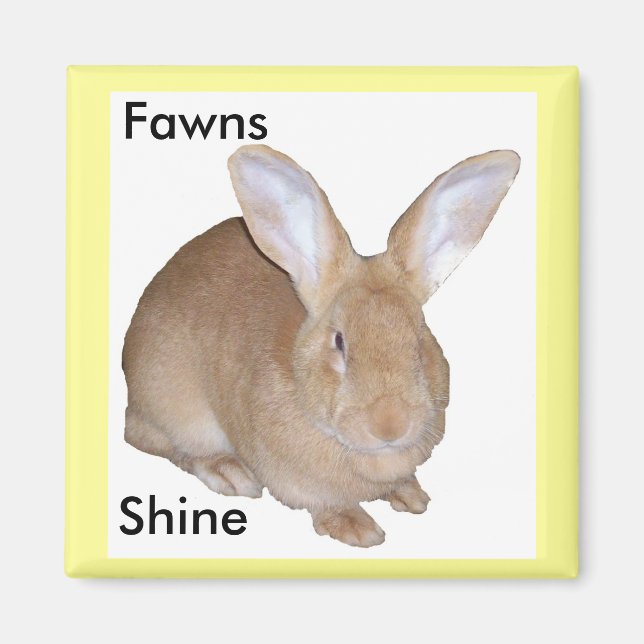 Square Fawn Flemish Giant Rabbit Magnet (Front)
