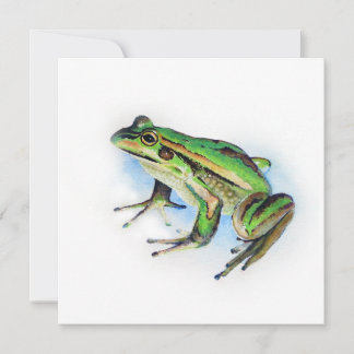 Square Frog Card
