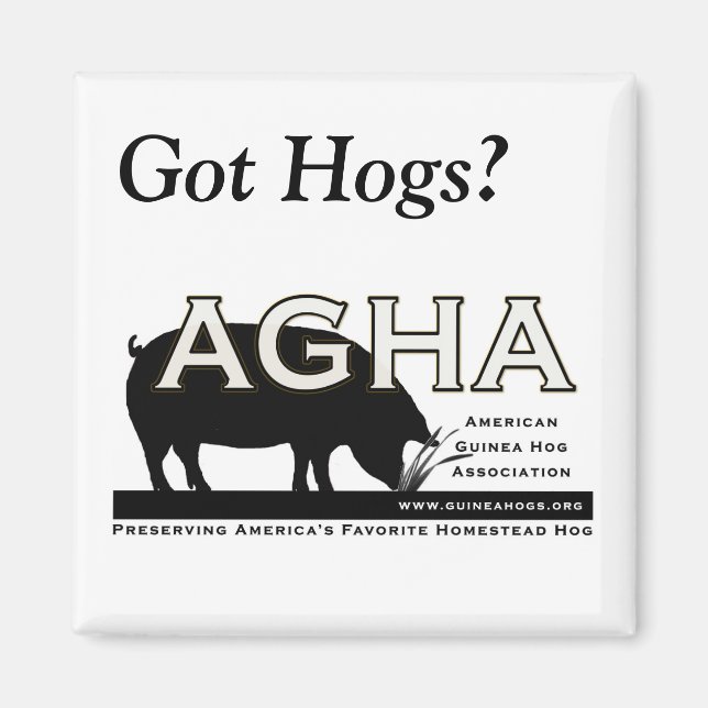 Square "Got Hogs?" magnet (Front)